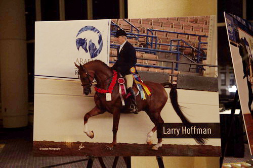 USEF-1-16-15-8463-DDeRosaPhoto