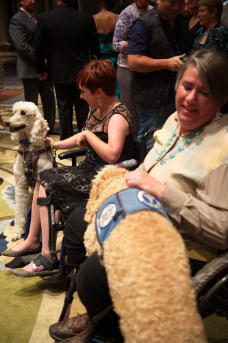 USEF-1-17-15-8510-DDeRosaPhoto