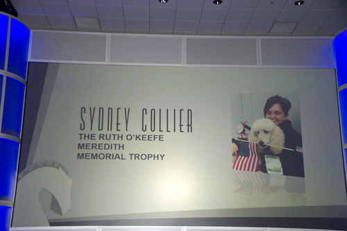 USEF-1-17-15-8618-SydneyCollier-DDeRosaPhoto