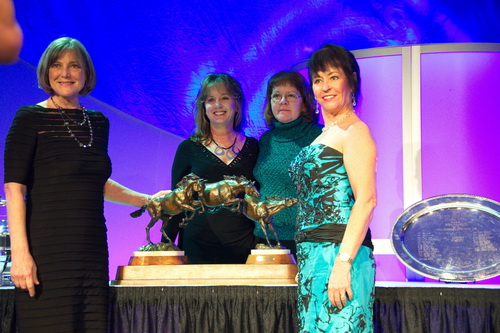 USEF-1-17-15-8780-DDeRosaPhoto