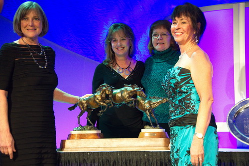 USEF-1-17-15-8781-DDeRosaPhoto