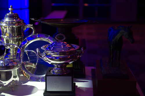 USEF-1-17-15-8818-DDeRosaPhoto