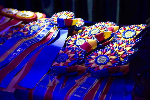 USEF-1-17-15-8855-DDeRosaPhoto