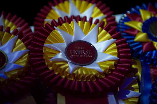 USEF-1-17-15-8861-DDeRosaPhoto