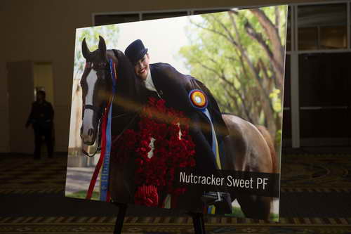 USEF-1-17-15-8893-DDeRosaPhoto