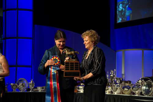 USEF-1-17-15-8983-DDeRosaPhoto