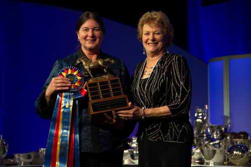 USEF-1-17-15-8984-DDeRosaPhoto