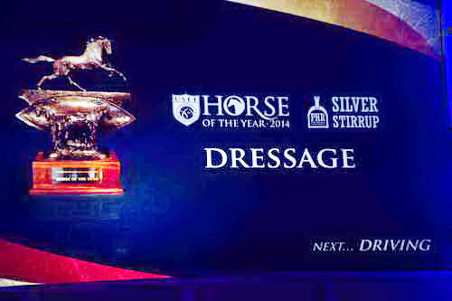 USEF-1-17-15-9001-DDeRosaPhoto