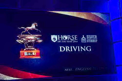 USEF-1-17-15-9014-DDeRosaPhoto