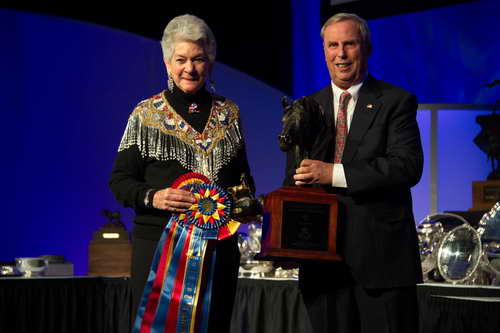 USEF-1-17-15-9052-DDeRosaPhoto