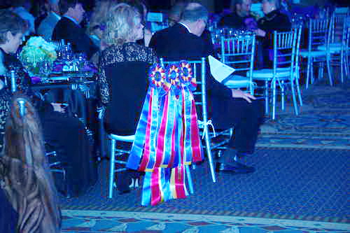 USEF-1-17-15-9107-DDeRosaPhoto