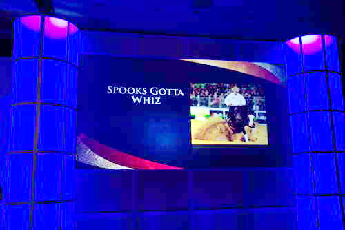 USEF-1-17-15-9122-DDeRosaPhoto