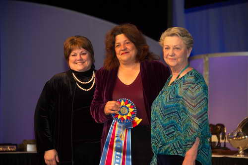 USEF-1-17-15-9128-DDeRosaPhoto