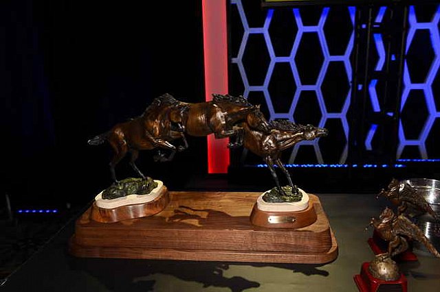 USEF-1-15-2016-1730-DDeRosaPhoto