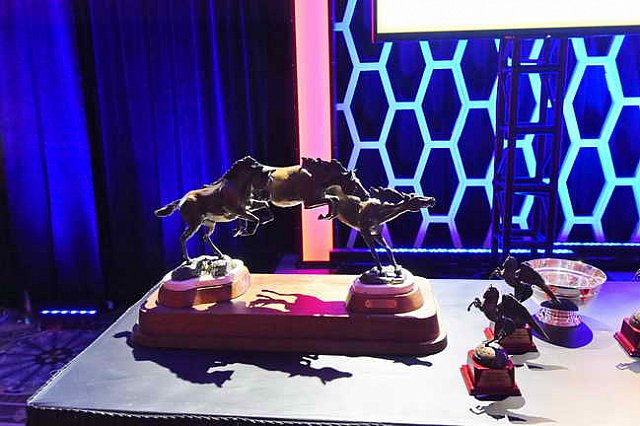 USEF-1-15-2016-1731-DDeRosaPhoto