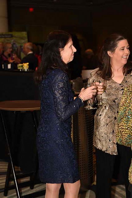 USEF-1-15-2016-1770-DDeRosaPhoto