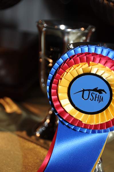 USHJA-12-8-09-305-AwardsDinner-DDeRosaPhoto_1.jpg