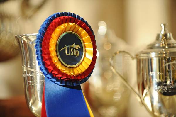USHJA-12-8-09-339-AwardsDinner-DDeRosaPhoto_1.jpg
