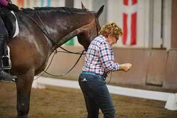USHJA-EAP-7-11-18-3499-DDeRosaPhoto