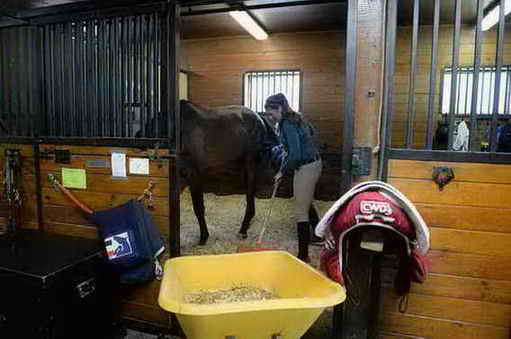 USHJA-EAP-7-11-18-0695-DDeRosaPhoto
