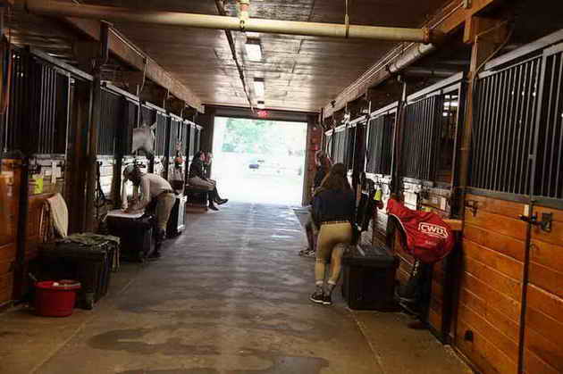 USHJA-EAP-7-11-18-3287-DDeRosaPhoto