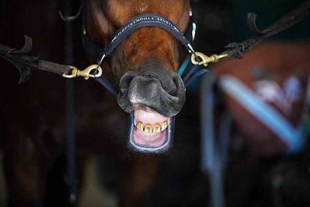 EAP-6-27-19-1246-Julianna Empie-DDeRosaPhoto