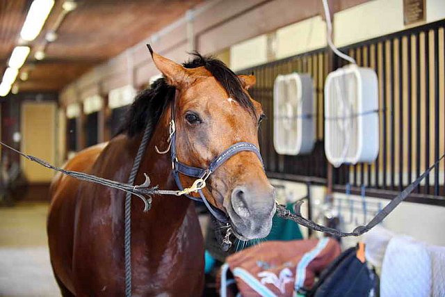 EAP-6-27-19-1251-Julianna Empie-DDeRosaPhoto