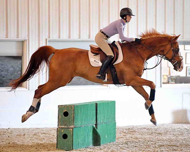 EAP-6-27-19-0980-Mara Picoohm-DDeRosaPhoto