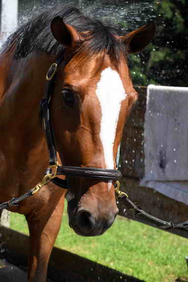 EAP-6-27-19-1237-Rachel Long-DDeRosaPhoto