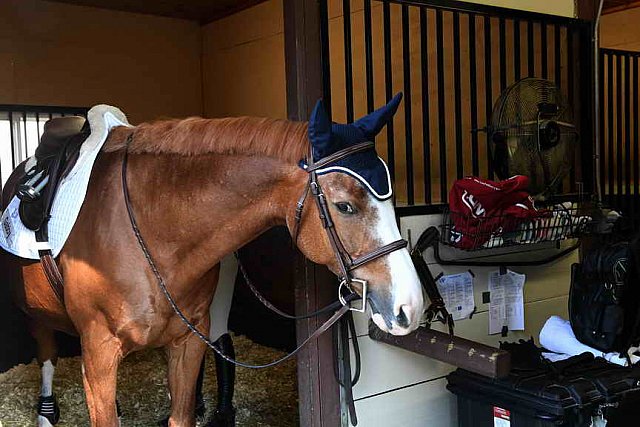 EAP-6-28-19-1425-DDeRosaPhoto