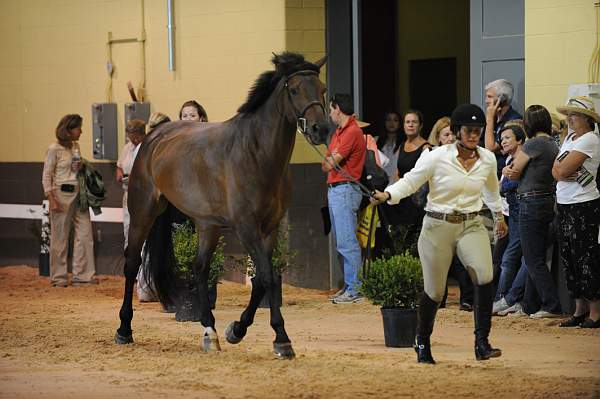 USHJA-Derby-8-19-10-Jog-DER_6934-DDeRosaPhoto.JPG