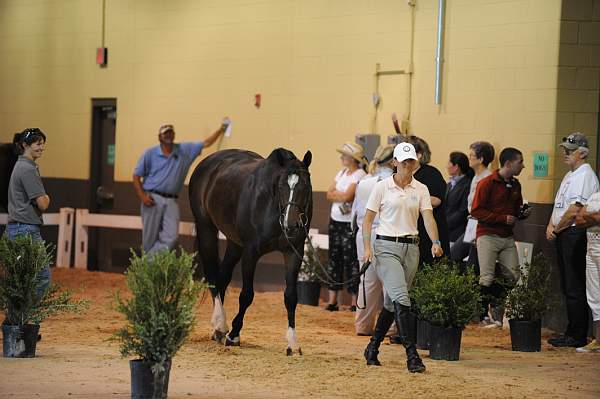 USHJA-Derby-8-19-10-Jog-DER_7045-DDeRosaPhoto.JPG