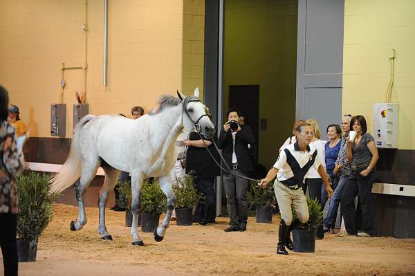 USHJA-Derby-8-19-10-Jog-DER_7115-DDeRosaPhoto.JPG