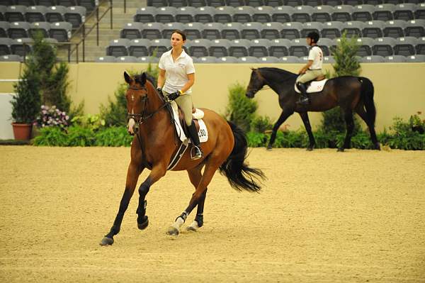USHJA-Derby-8-19-10-Schooling-DER_6694-DDeRosaPhoto.JPG