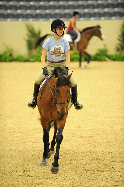 USHJA-Derby-8-19-10-Schooling-DER_6744-DDeRosaPhoto.JPG