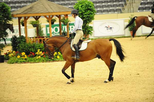 USHJA-Derby-8-19-10-Schooling-DER_6767-DDeRosaPhoto.JPG