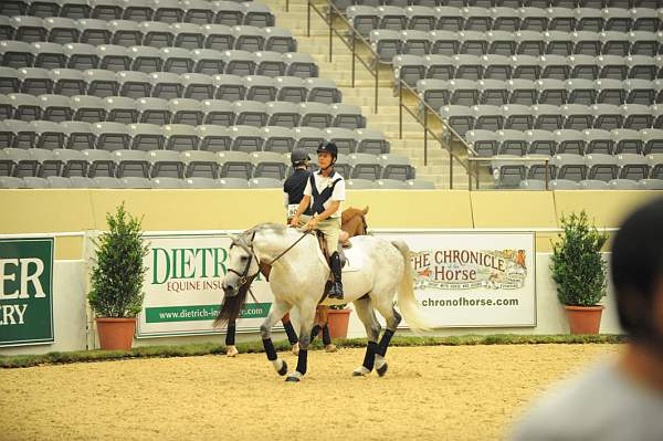 USHJA-Derby-8-19-10-Schooling-DER_6801-DDeRosaPhoto.JPG