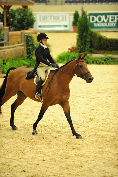 USHJA-Derby-8-20-10-DER_7605-QRnd1-Lavasco-PaigeBrodbeck-DDeRosaPhoto.jpg