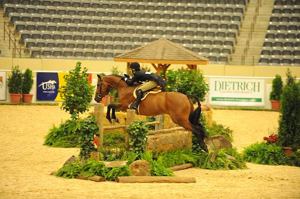 USHJA-Derby-8-20-10-DER_7618-QRnd1-Lavasco-PaigeBrodbeck-DDeRosaPhoto.jpg