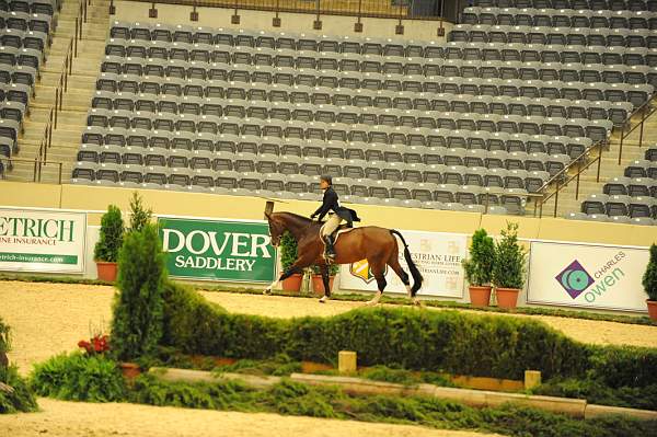 USHJA-Derby-8-20-10-DER_7639-QRnd1-Valient-TammyProvost-DDeRosaPhoto.jpg