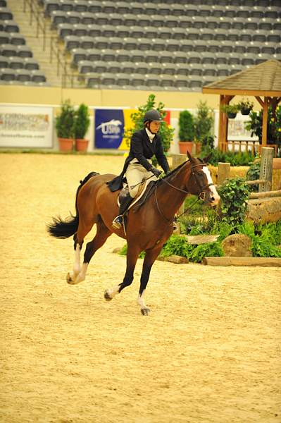 USHJA-Derby-8-20-10-DER_7641-QRnd1-Valient-TammyProvost-DDeRosaPhoto.jpg