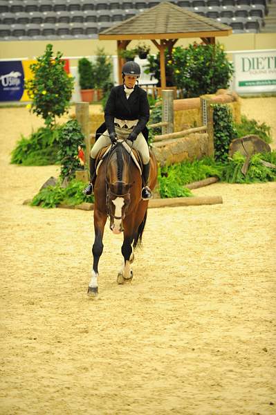 USHJA-Derby-8-20-10-DER_7658-QRnd1-Valient-TammyProvost-DDeRosaPhoto.jpg