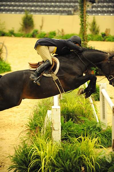 USHJA-Derby-8-20-10-DER_7691-QRnd1-Ebony-RachelKennedy-DDeRosaPhoto.jpg