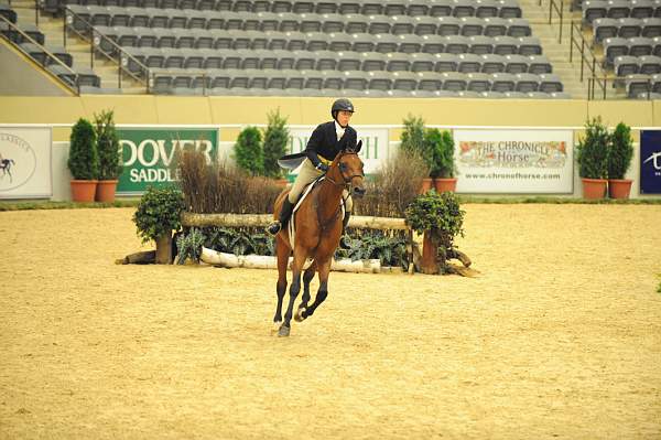 USHJA-Derby-8-20-10-DER_7700-QRnd1-Poetic-MaggieBoylan-DDeRosaPhoto.jpg