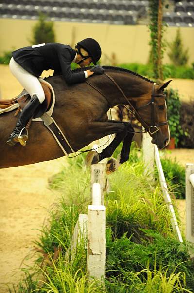 USHJA-Derby-8-20-10-DER_7764-QRnd1-Enjoy-AshleyRomano-DDeRosaPhoto.jpg