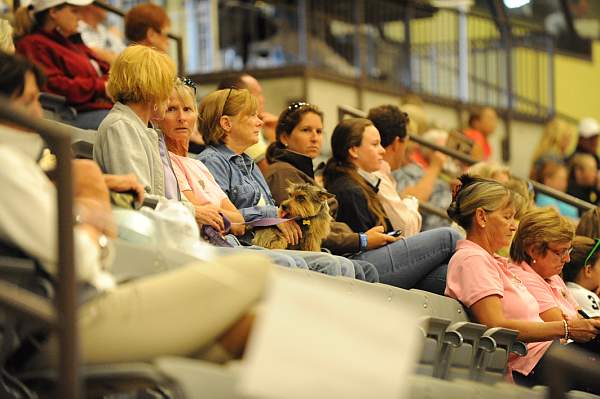 USHJA-Derby-8-20-10-DER_7790-QRnd1-DDeRosaPhoto.jpg