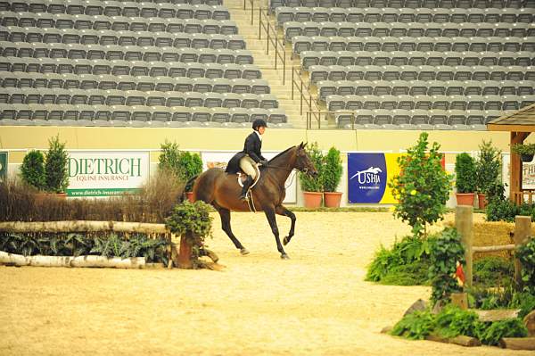 USHJA-Derby-8-20-10-DER_7835-QRnd1-YesIndeed-SarahMechlin-DDeRosaPhoto.jpg