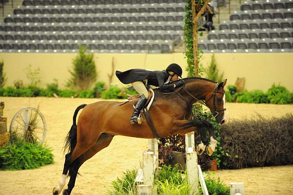 USHJA-Derby-8-20-10-DER_7868-QRnd1-Accord-KirstieDobbs-DDeRosaPhoto.jpg