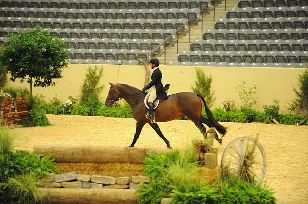 USHJA-Derby-8-20-10-DER_7897-QRnd1-TimberRidge-KelleyFarmer-DDeRosaPhoto.jpg