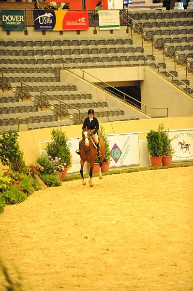 USHJA-Derby-8-20-10-DER_7986-QRnd1-Onassis-SarahWard-DDeRosaPhoto.jpg